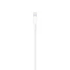 Cablu de Date USB-A la Lightning, 2m - Apple (MD819ZM/A) - White (Blister Packing)