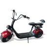 Scuter Electric RDB CC10, 1500W, fara permis, 25km/h