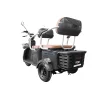 Triciclu Electric RDB LONG, fara permis, 2000W, 25km/h