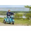 Triciclu Electric RDB SINOE PRO, fara permis, 1160W, 25km/h