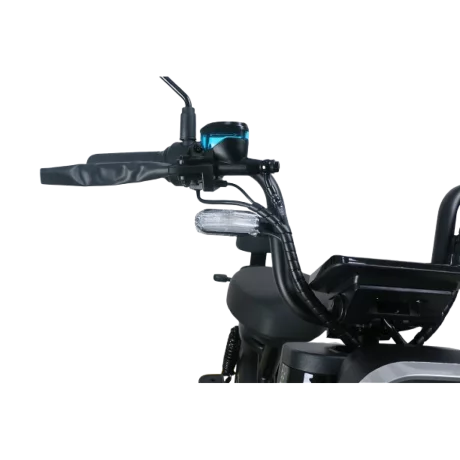 Scuter Electric RDB ROMA, 600W, fara permis, 25km/h, negru