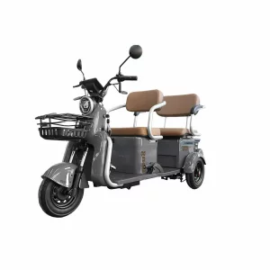 Triciclu Electric RDB LONG, fara permis, 2000W, 25km/h
