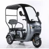 Triciclu Electric RDB Panda 5 650W 60V 20Ah Fara permis