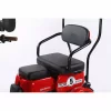 Triciclu Electric RDB Panda 5 650W 60V 20Ah Fara permis