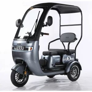 Triciclu Electric RDB Panda 5 650W 60V 20Ah Fara permis