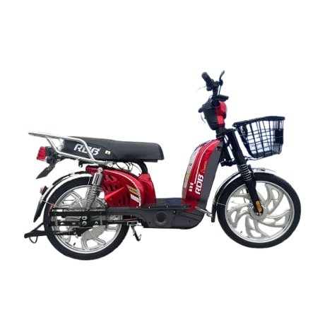 Scuter electric RDB Dunarea 450W Fara permis
