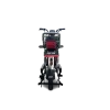 Scuter electric RDB Dunarea 450W Fara permis