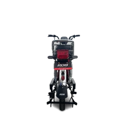 Scuter electric RDB Dunarea 450W Fara permis