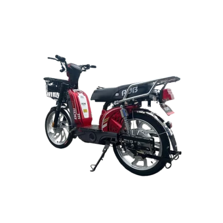 Scuter electric RDB Dunarea 450W Fara permis
