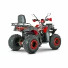 ATV RDB AW200 180cc 4 Timpi