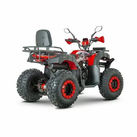 ATV RDB AW200 180cc 4 Timpi