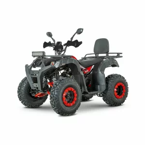 ATV RDB AW200 180cc 4 Timpi