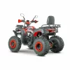 ATV RDB AW200 180cc 4 Timpi