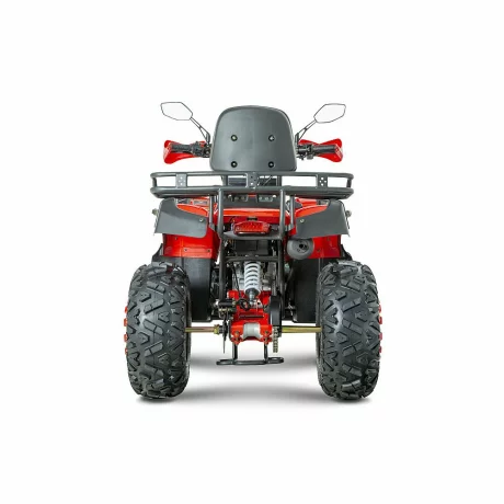 ATV RDB AW200 180cc 4 Timpi