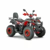 ATV RDB AW200 180cc 4 Timpi