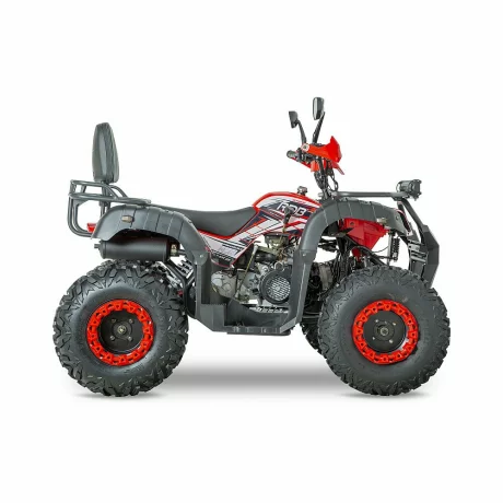 ATV RDB AW200 180cc 4 Timpi