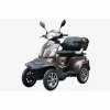 Cvadriciclu electric RDB 4T 4 roti 1000W 60V si 25km/h fara permis
