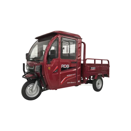 Triciclu electric RDB MAX-Klass4 acoperis inchis, fara permis, 72V 32Ah, 4000W, 25km/h + CU VOLAN
