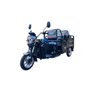 Triciclu electric RDB M-Klass 1000W 72V 20Ah 25km/h fara permis