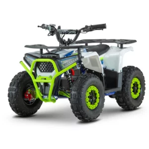 ATV electric de adulti RDB-FFA1000 1000W 48V 12Ah