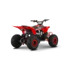 ATV de copii RDB-AZ110 110cc 4 Timpi