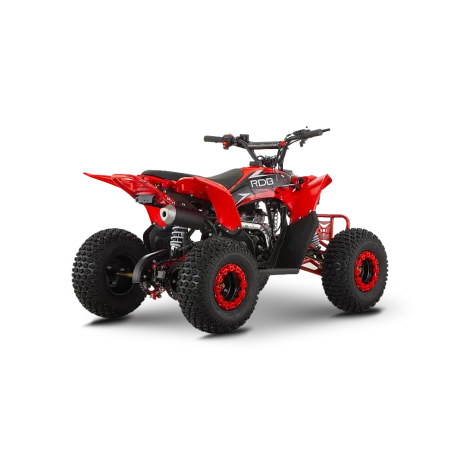 ATV de copii RDB-AZ110 110cc 4 Timpi