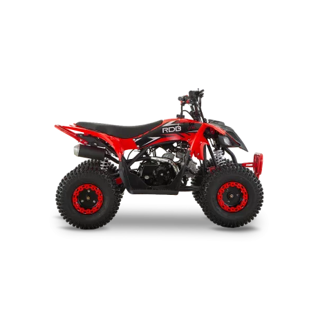 ATV de copii RDB-AZ110 110cc 4 Timpi