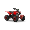 ATV de copii RDB-AZ110 110cc 4 Timpi