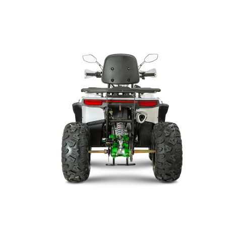 ATV RDB AFB200 180cc 4 Timpi