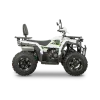 ATV RDB AFB200 180cc 4 Timpi
