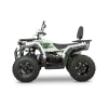 ATV RDB AFB200 180cc 4 Timpi